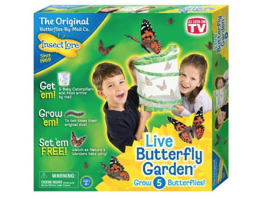 INSECT LORE LIVE BUTTERFLY GARDEN - Science Educational Toy Kit