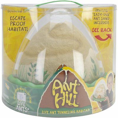 Insect Lore Ant Hill Kit