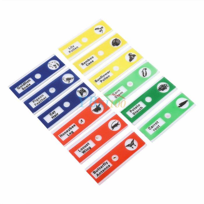 12 pc Prepared Microscope Slides for Kids