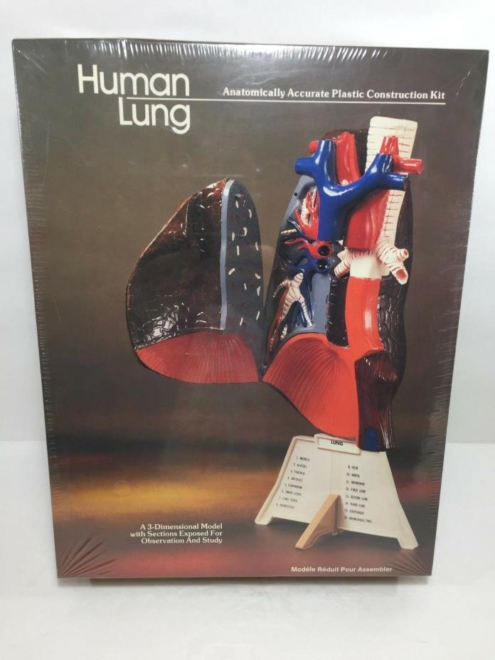 New!  Lindberg - Human Lung - 3 Dimensional Plastic Model Kit