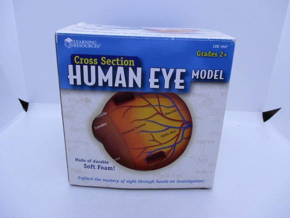 LEARNING RESOURCES CROSS SECTION HUMAN EYE MODEL NIB