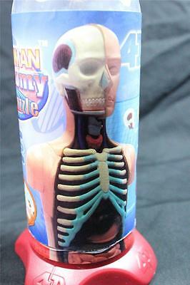 New 4D Human Anatomy Body Puzzle Anatomy Model 32 pcs Torso