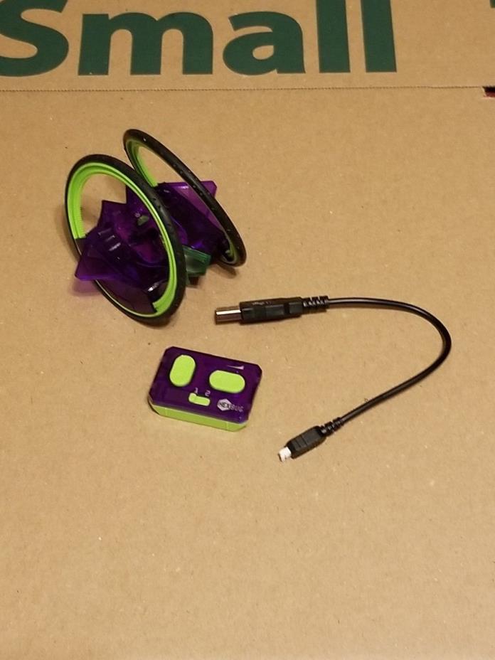 HEXBUG Ring Racer - Green & Purple