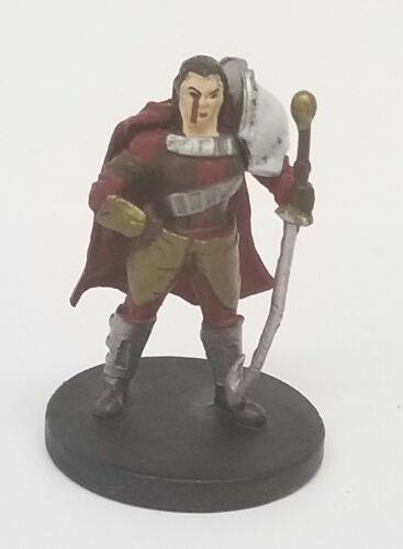 Wizards of the Coast Dungeons & Dragons Miniature SOLARA THANN 33/45