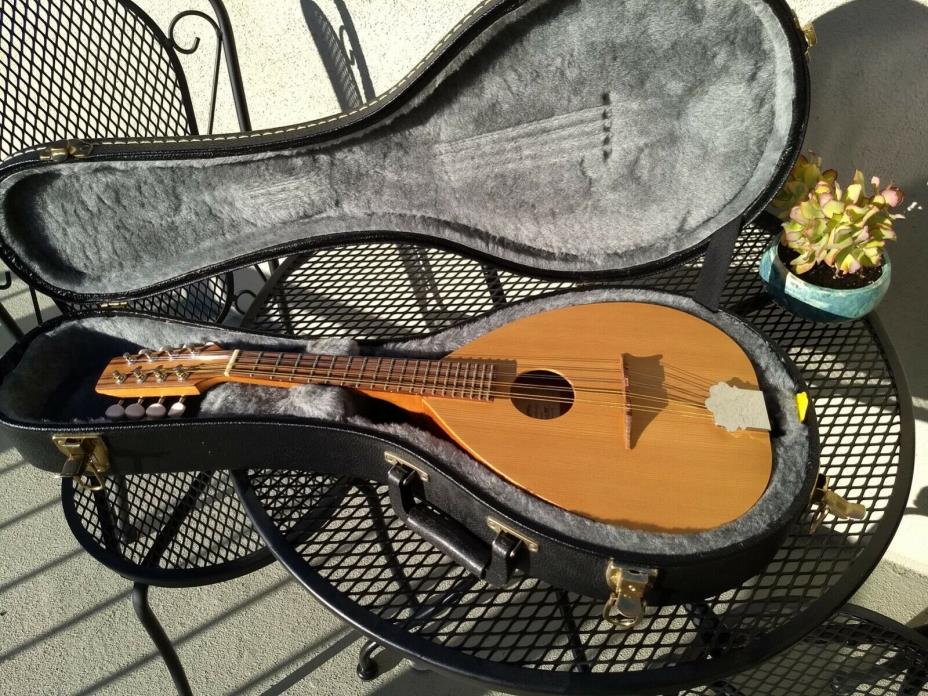 Mandolin, case and accessories, Big Muddy model M-O, played ten hours
