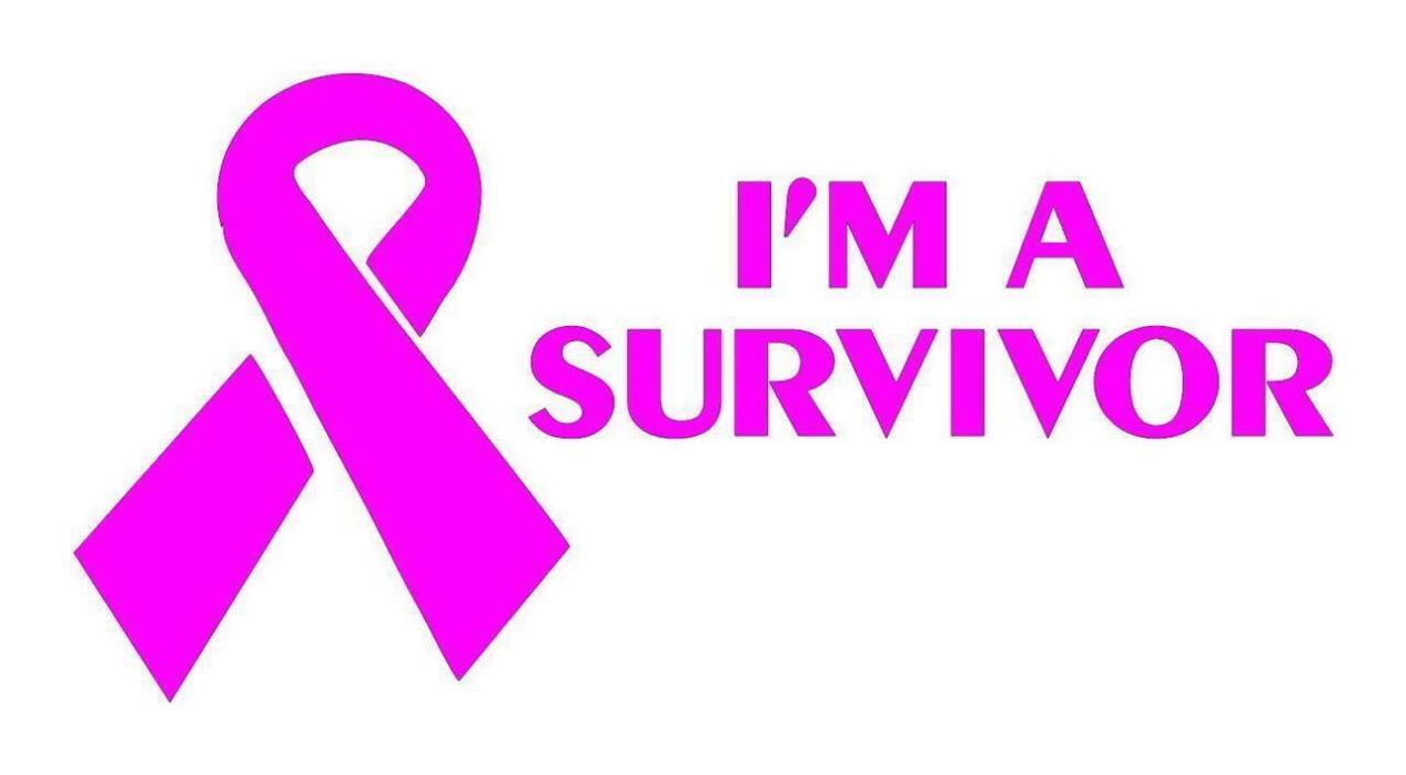 I'M A SURVIVOR  5 X 8 VINYL CAR TRUCK WINDOW DECAL STICKERS