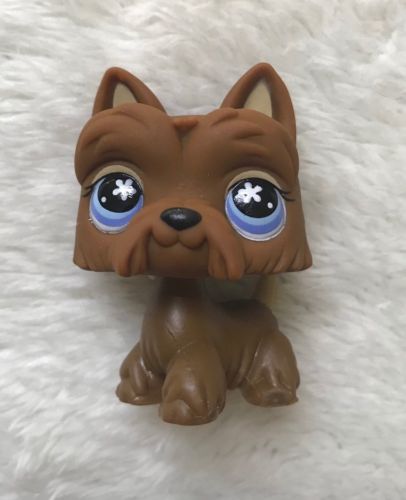 Littlest Pet Shop #789 Brown Scottish Terrier Dog Purple Flower Eyes Authentic