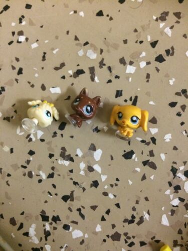 Littlest Pet Shop mini Teeniest Tiniest carrying case travel 3 Puppies