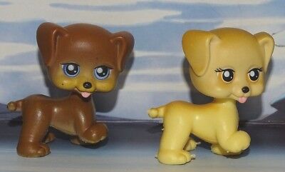 My Pet Pals Chic Boutique Brown Blonde Dogs