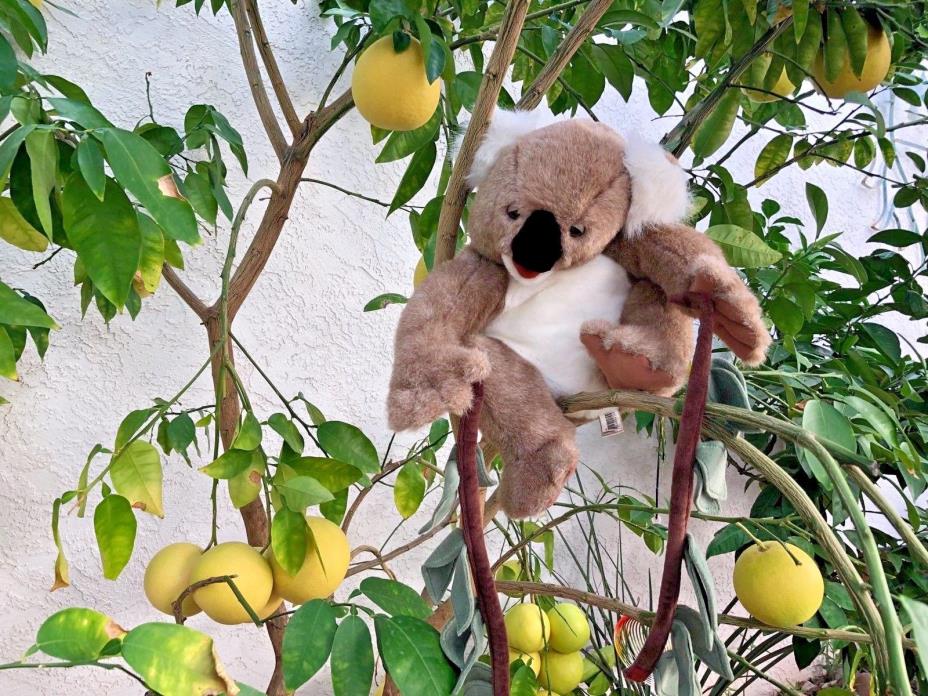 FOLKTAILS Folkmanis Full Body Plush Stuffed KOALA BEAR Hand PUPPET Eucalyptus