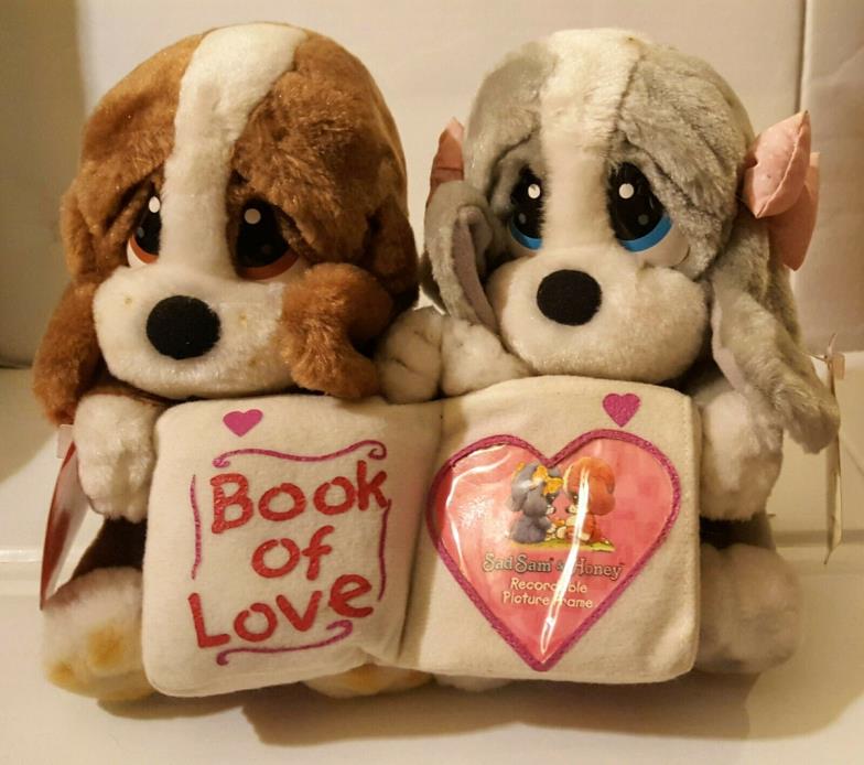 sad sam and honey, plush dolls with recordable  picture frame