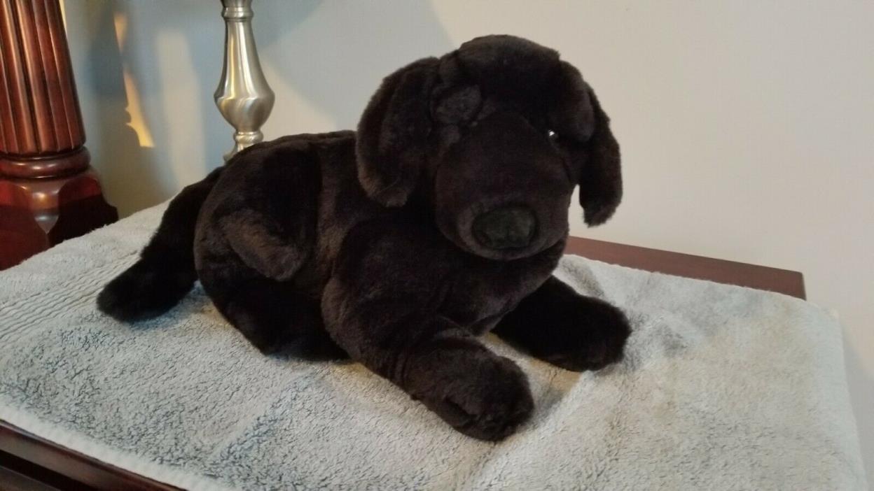 Black Lab Labrador Retriever 12