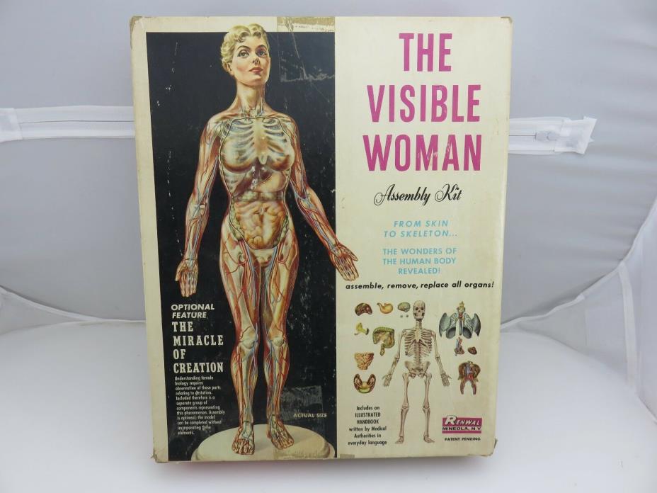 Renwal THE VISIBLE WOMAN Plastic Assembly Model Kit 804 STARTED Vintage