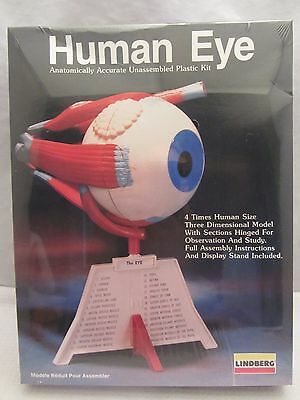 Lindberg  Human Eye Model Kit  NIB Sealed  4 Times Life-Size  (715H)  1336