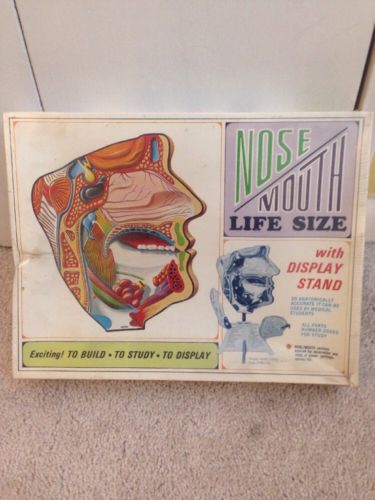 Vintage Pyro Nose Mouth Life Size Model Kit Sealed in Original Plastic Medical