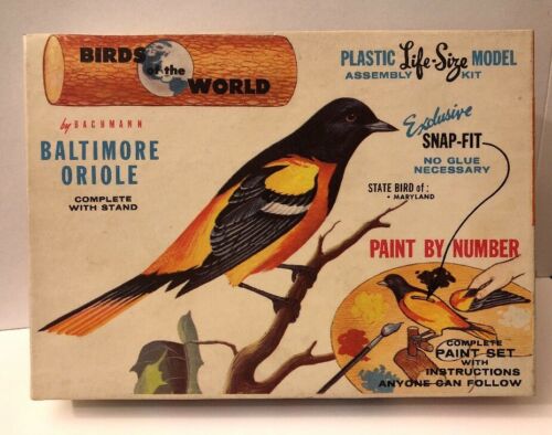 Vintage Bachmann Life Size BALITMORE ORIOLE Snap Fit Model w/Box Instructions