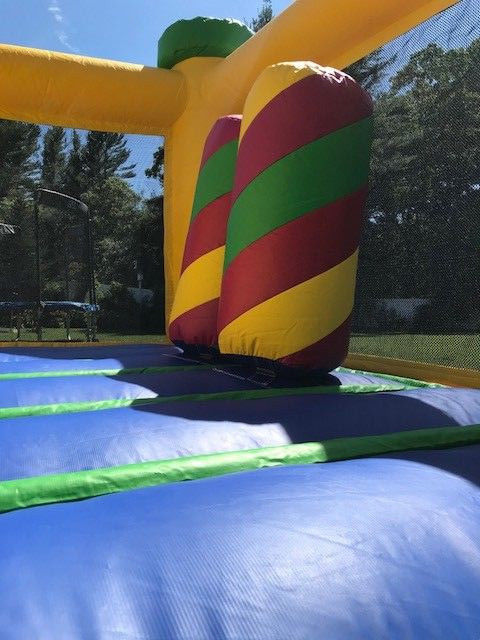 Inflatable Bounce House Slide Combo with Blower