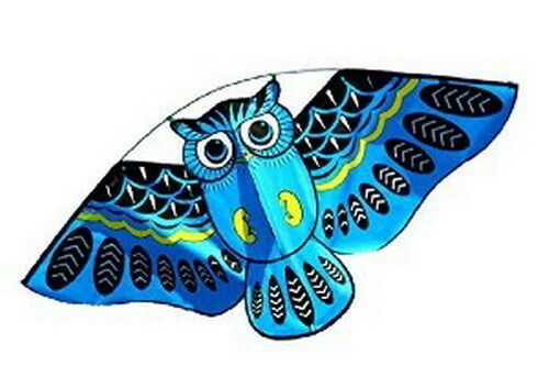 Besra Huge 45'' Nylon Blue Owl Kite New
