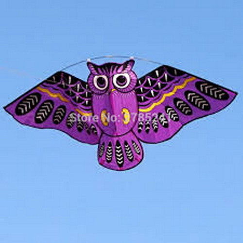 Besra Huge 45'' Nylon Purple Owl Kite New