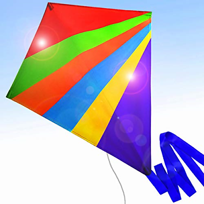 Cool Kite for Kids and Adults Easy to Fly Outdoor Summer Activities Beach Fun a