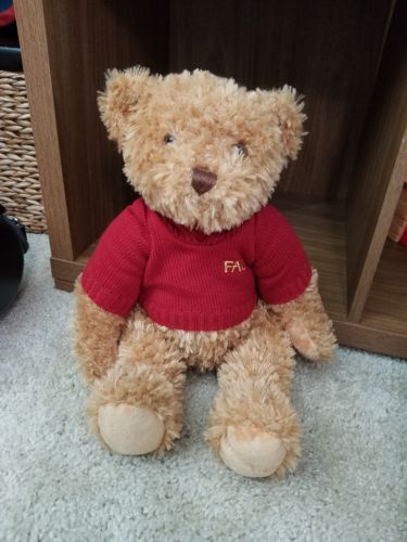 FAO Schwarz Teddy Bear in Red FAO Schwarz Sweater - Brand new, no tags