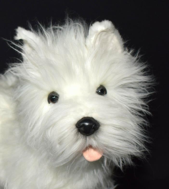 Hansa Plish West Highland Terrier (Westie) 20