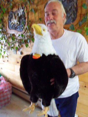 Steiff eagle bald headed eagle studio all IDs stuffed animal Germany