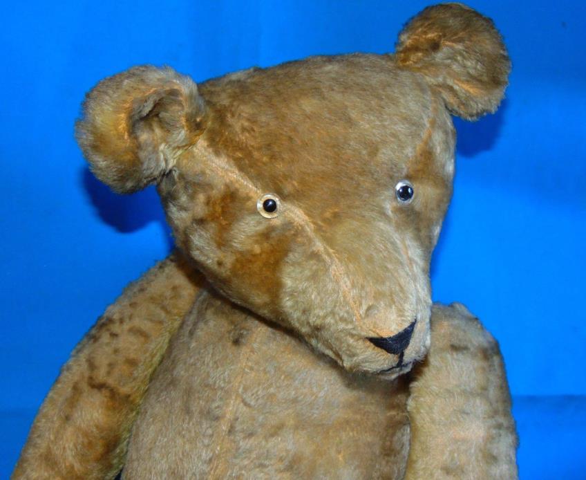 X RARE Fabulous  early 1900  Large  32  inches  German  antique   teddy  bear