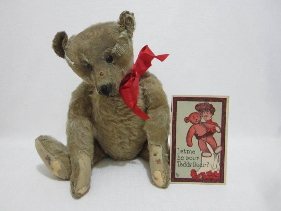 STEIFF Antique Teddy Bear 16