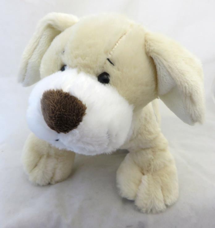 Webkinz Tawny Puppy dog HM452  w/ code plus cheerleader webkinz outfit