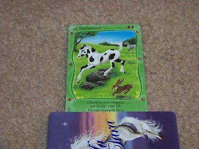 Bella Sara trading card - Baby Bella - Tumbleweed 41/92 - common card
