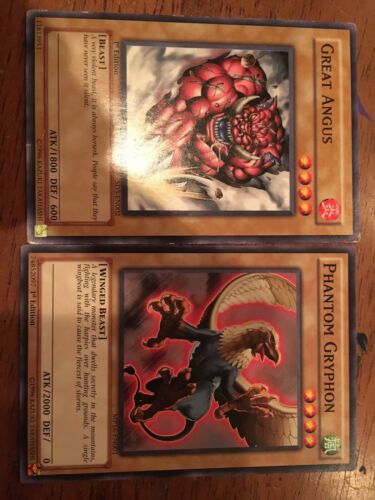 Yu-Gi-Oh Beast Themed Cosplay Deck Zoo Animal Complete Assorted Traps Spells