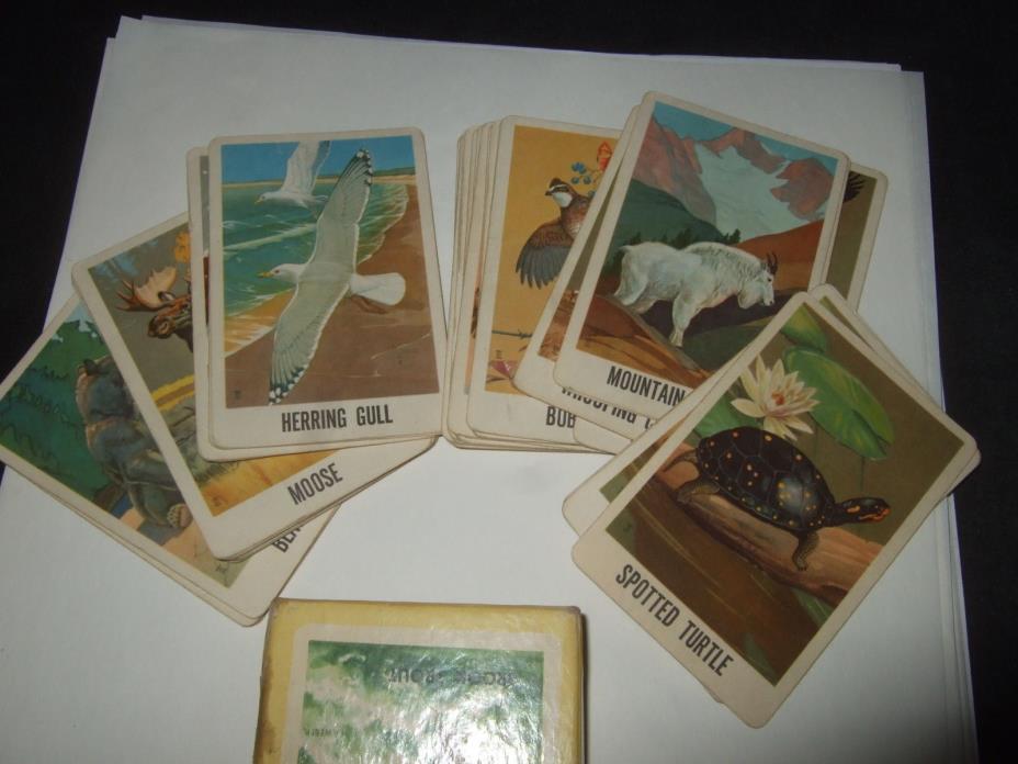 Concentration Card Game Vintage Card Game Wildlife Edition 40 Cards Complete