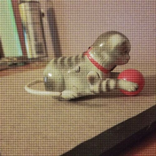 ANTIQUE TIN CAT WITH BALL WIND UP TOY ~ MADE IN US-ZONE GERMANY