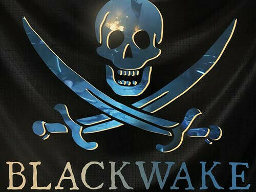 Blackwake: PC Steam Key (Speedy Message Delivery)