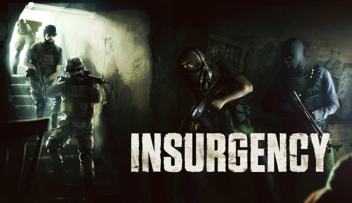 Insurgency game steam activated (PC Digital Download)
