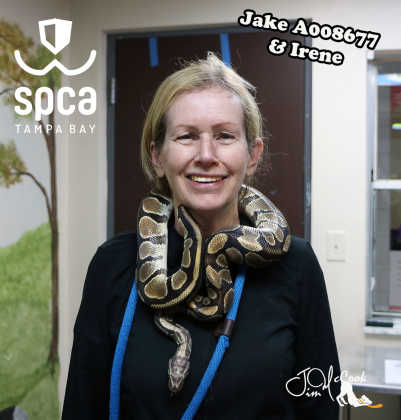 Adopt Jake a Snake / Mixed reptile, amphibian, and/or fish in Largo