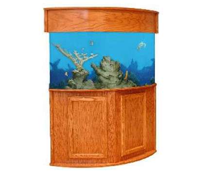 Quarter Cylinder 90-Gal Aquarium, free stand, pump and light