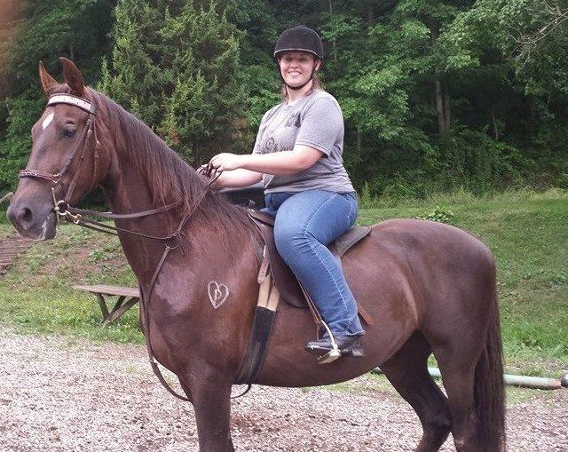 Adopt Ellie a Saddlebred
