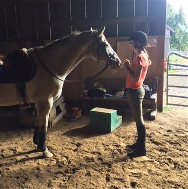 Adopt Cruiser - Pending Adoption a Appaloosa / Mixed horse in Stratham