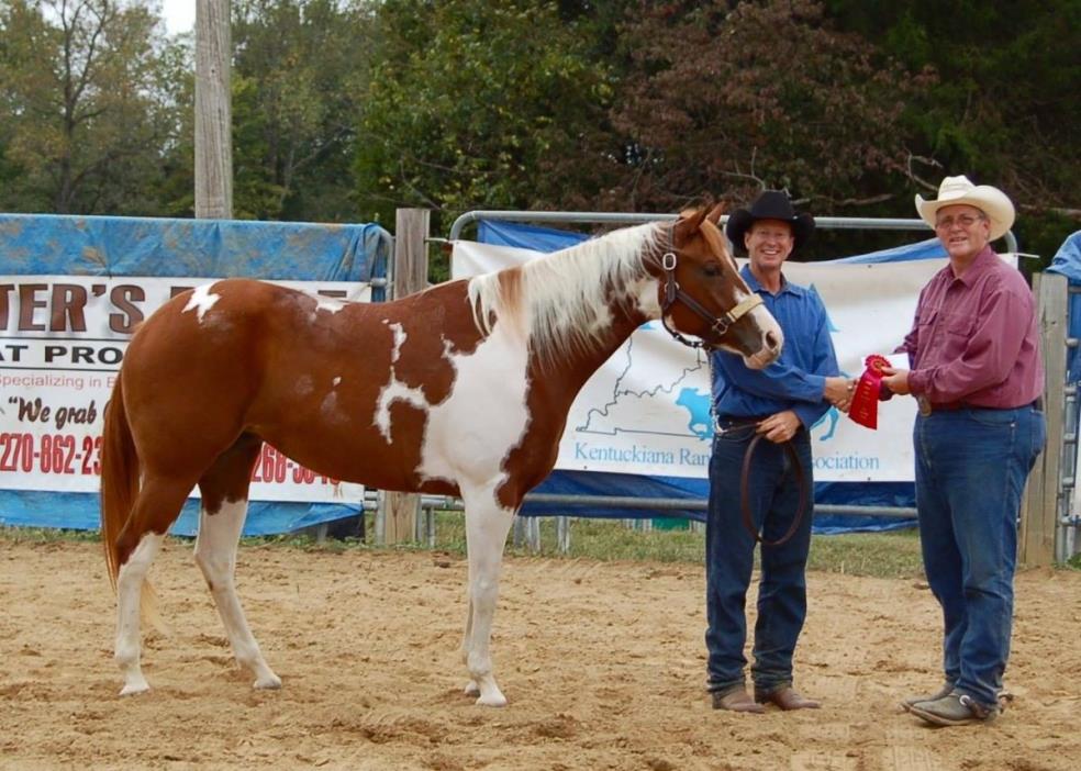 Ranch Horse Reserve Champion The Artist Painted Me 5 yr Old Mare