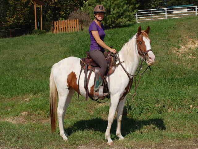 Adopt RIATTA a Paint / Pinto