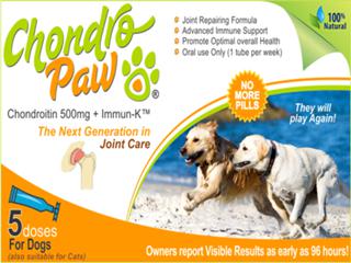 Answer to Dog Arthritis Worry - Natural Help, Awesome Result