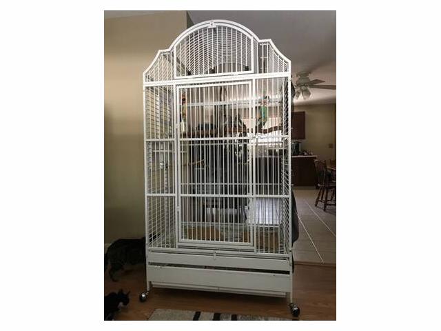Extra Large Bird Cage