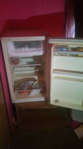 Mini fridge/freezer (Florence s.c)