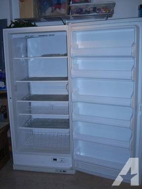 Commercial Upright Freezer - No reasonable offer refused!