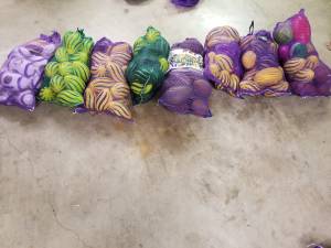 Mardi gras beads footballs (Thibodaux)