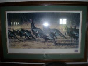 Wild Turkey Print by O.J. Gromme (Sequim)
