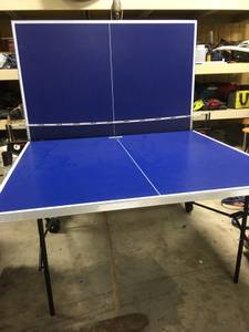 Table Tennis Table (Bartlett)