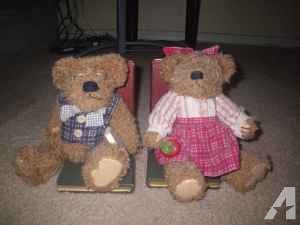 Bookends Cute Teddy Bears - $10 (Winter Park)
